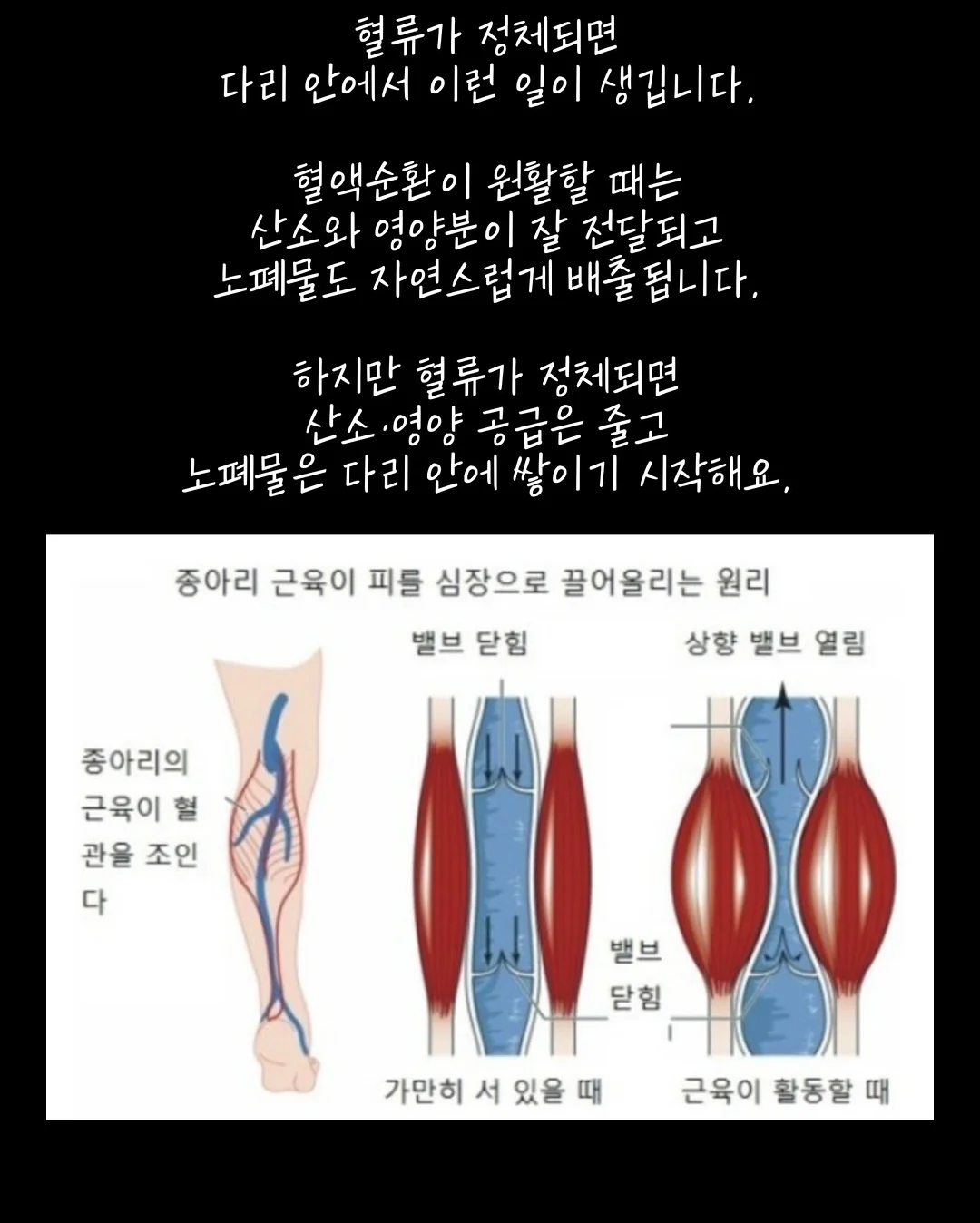 프리미엄 과외 5
