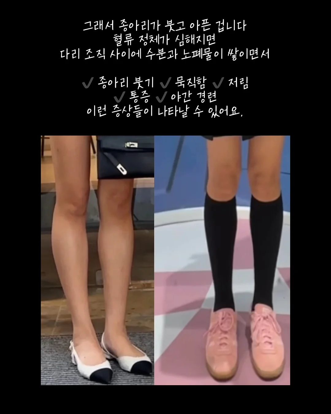 프리미엄 과외 6