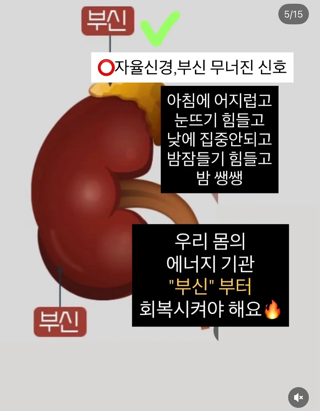 너르 래시가드 3