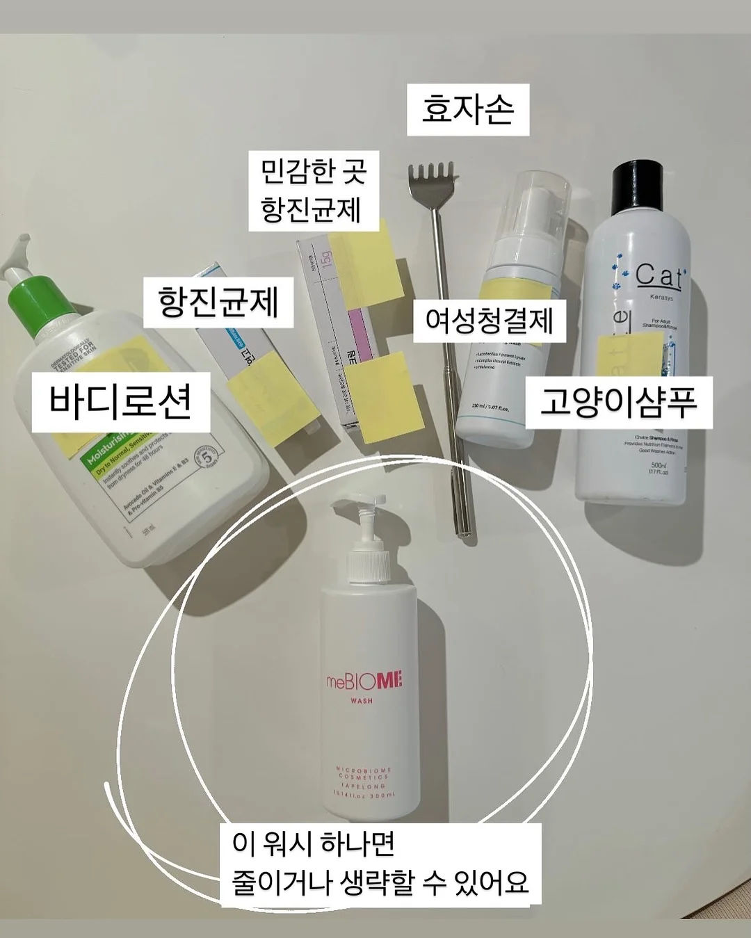 로만쉐이드 12