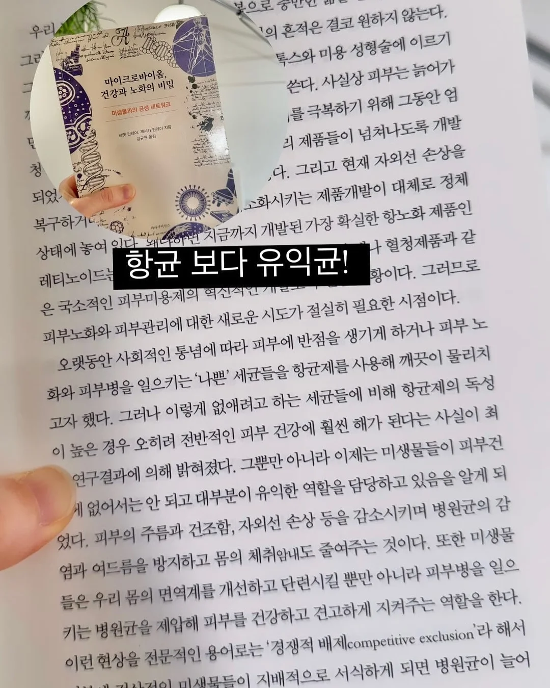 로만쉐이드 10