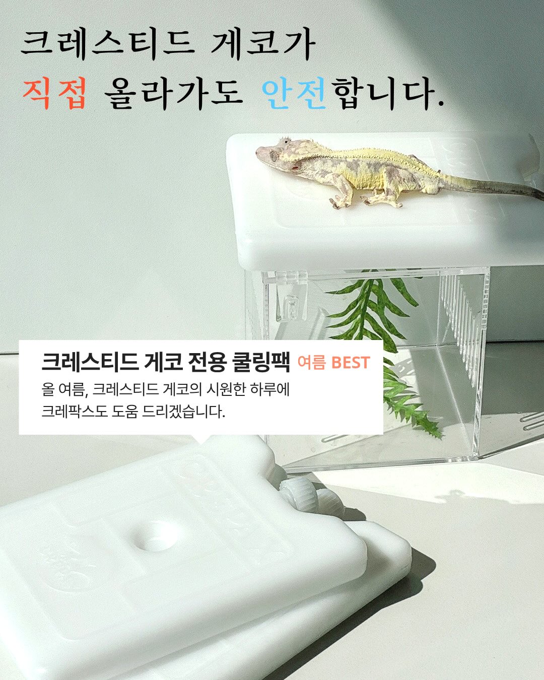 쿠쿠 에코웨일 큐브 음식물처리기 2