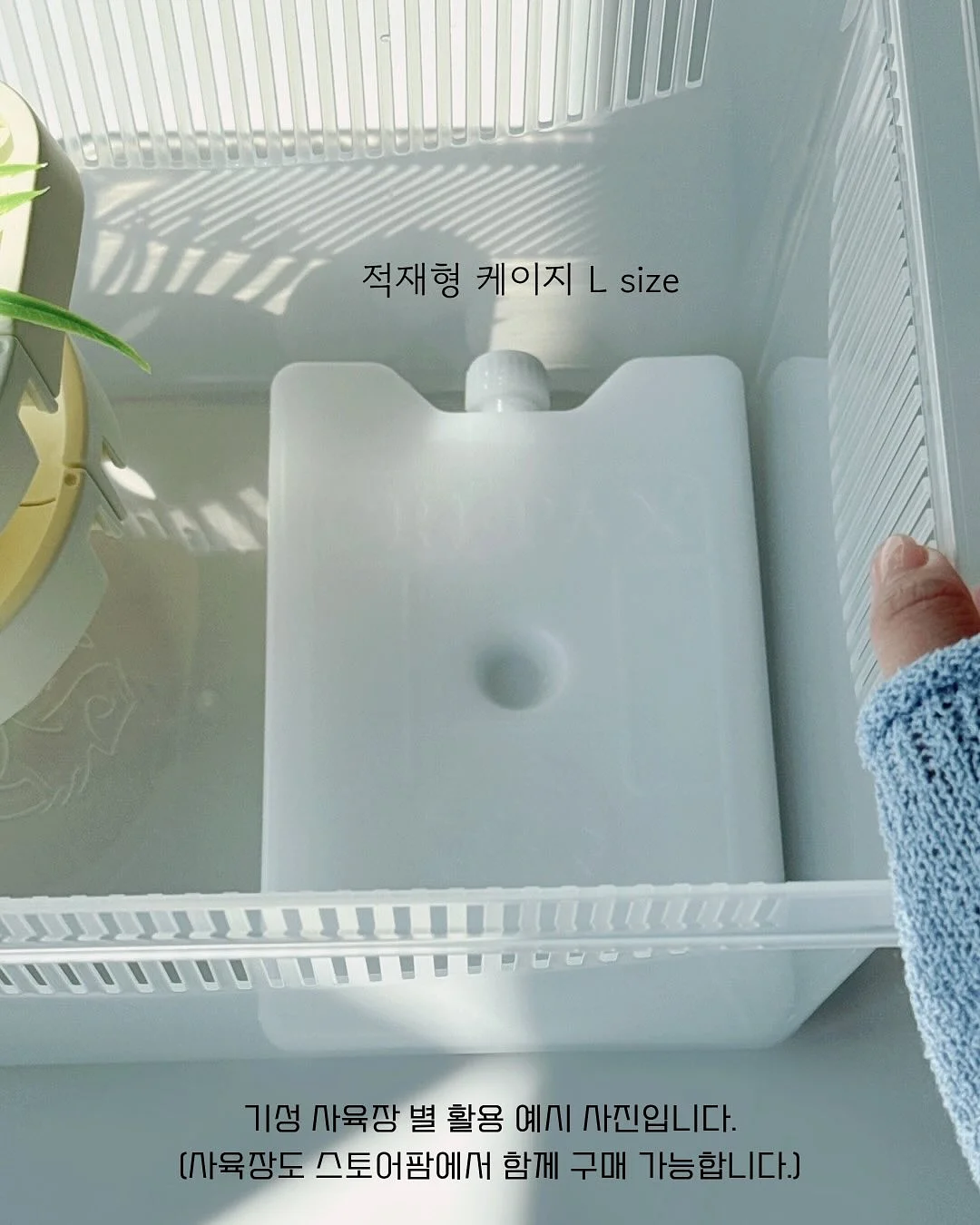 쿠쿠 에코웨일 큐브 음식물처리기 10