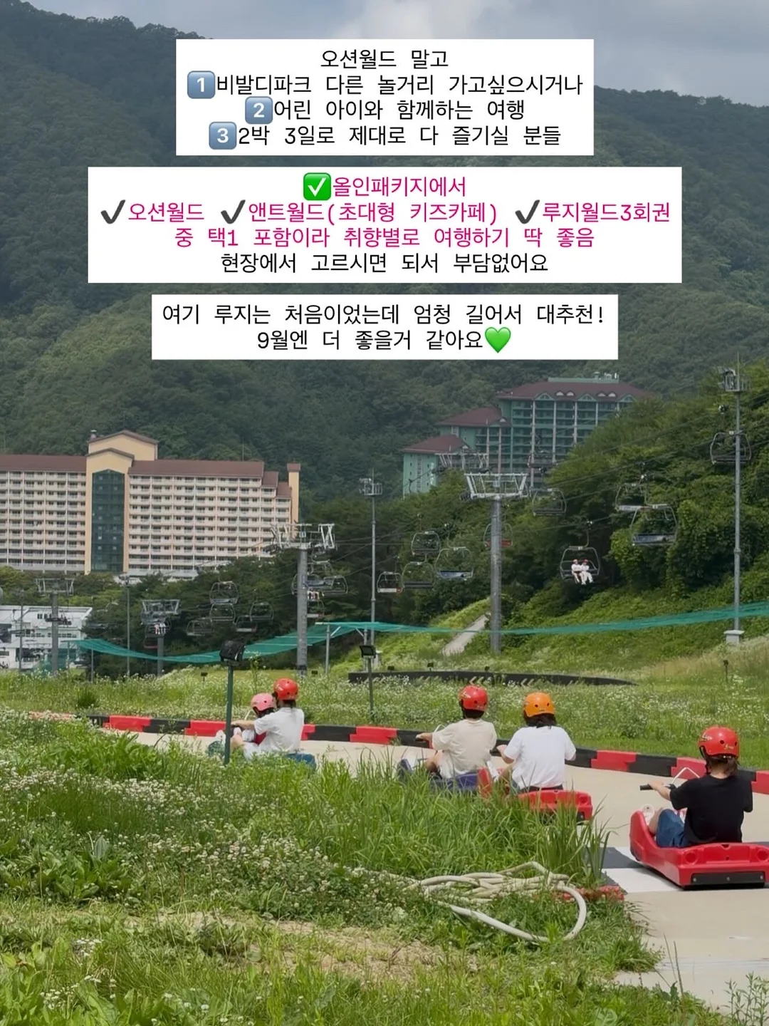 피아노 교구 11