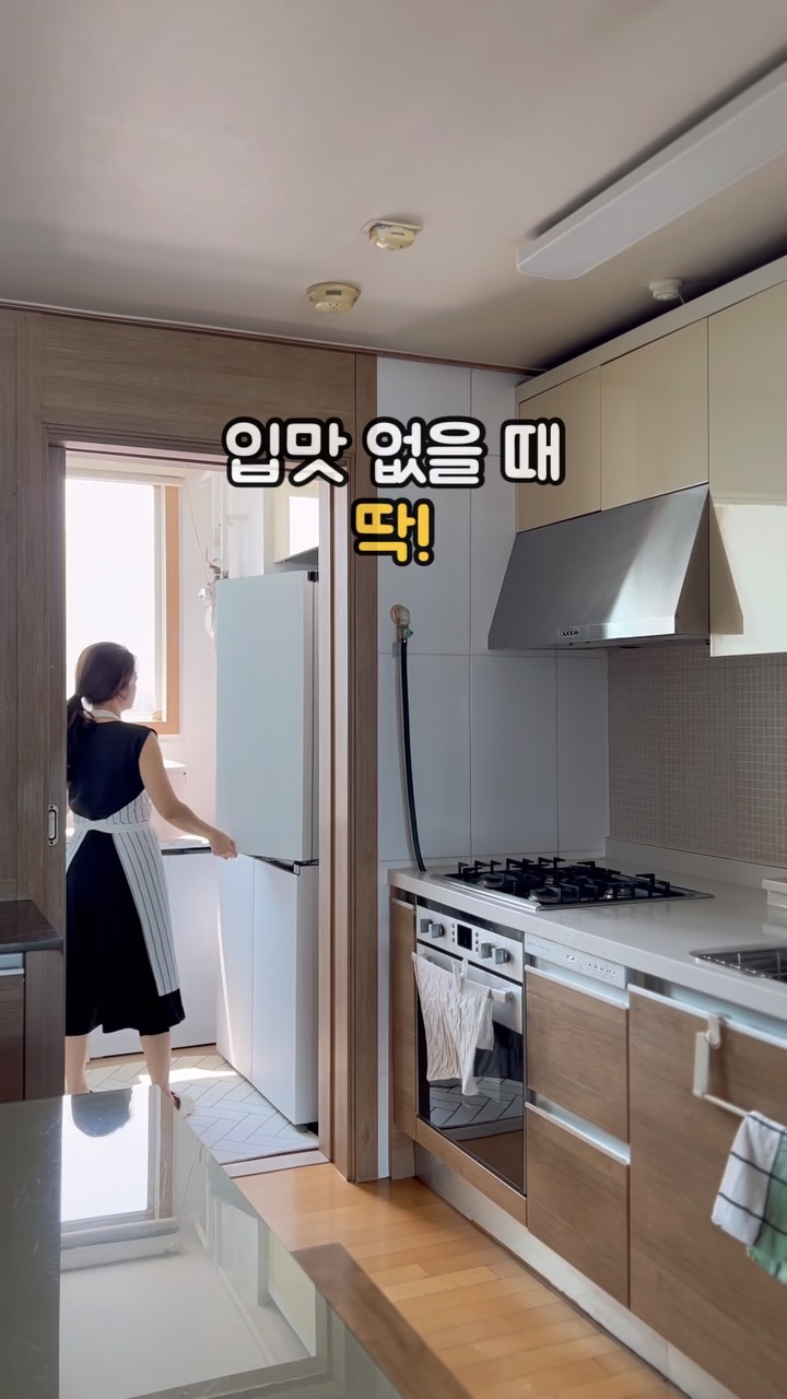 로이델