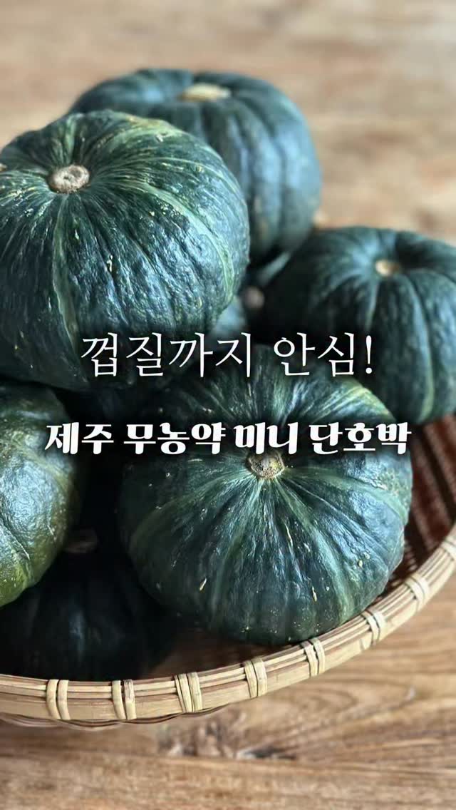 Zinda 월간 엽서 2월