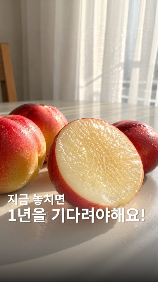 세트
