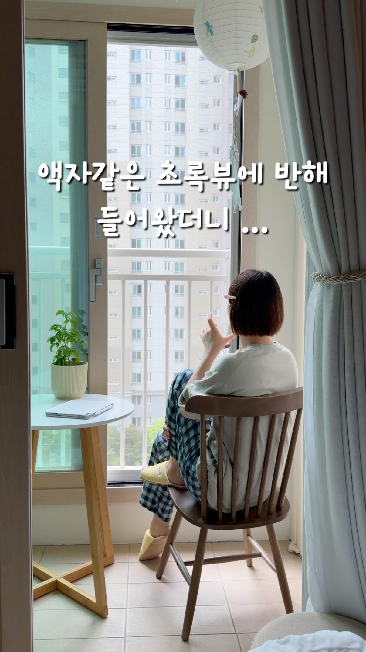 오월도 천도복숭아