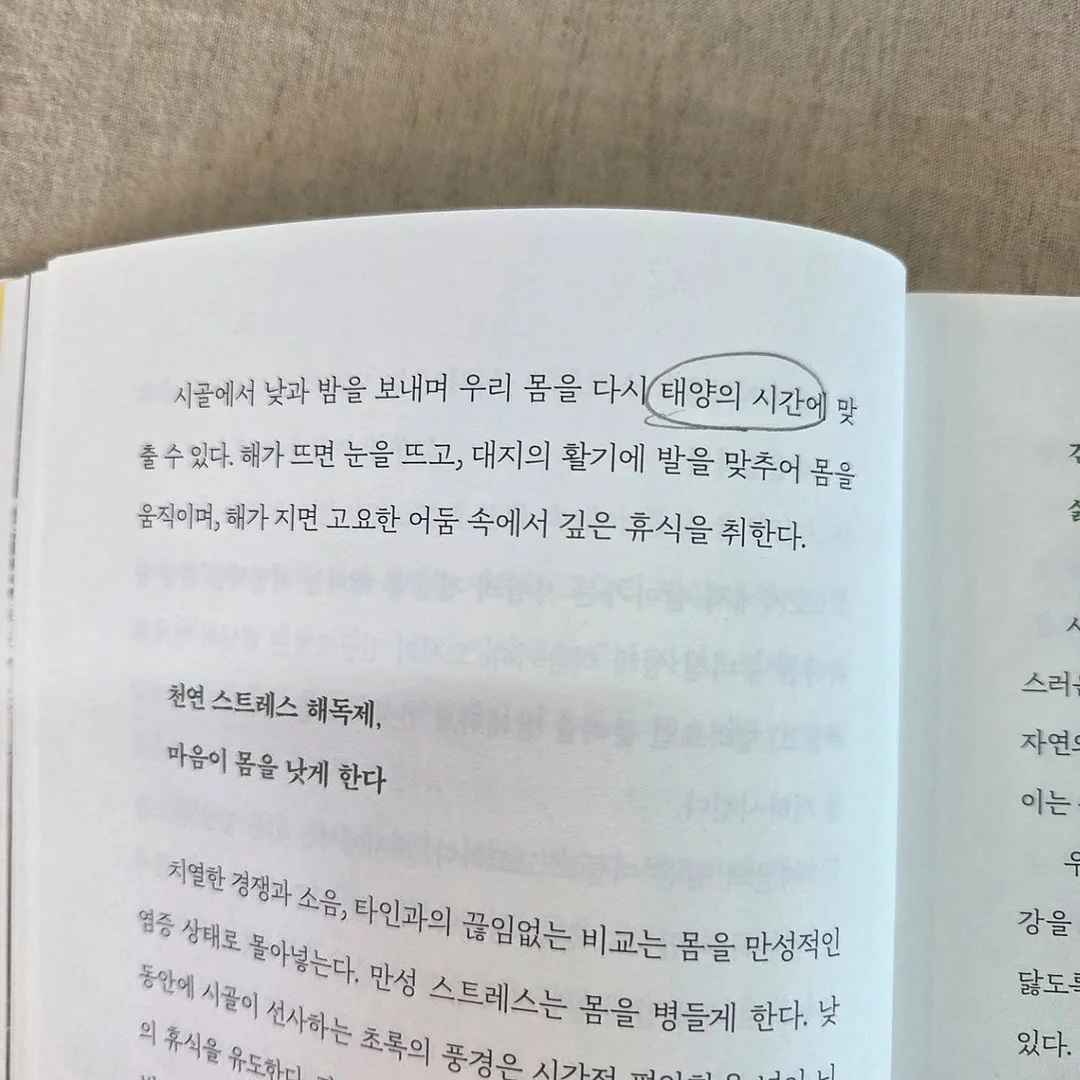 Bambulab 3D프린터 맥주홀더 생활용품 1