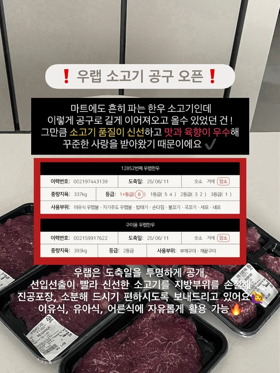 오코루 샴푸&트리트먼트, 바디워시&바디로션, 셀레오스 효소클렌저/클렌징밤/멜팅크림, 당근 토너패드/클렌징폼, 벼리 립 세럼 3