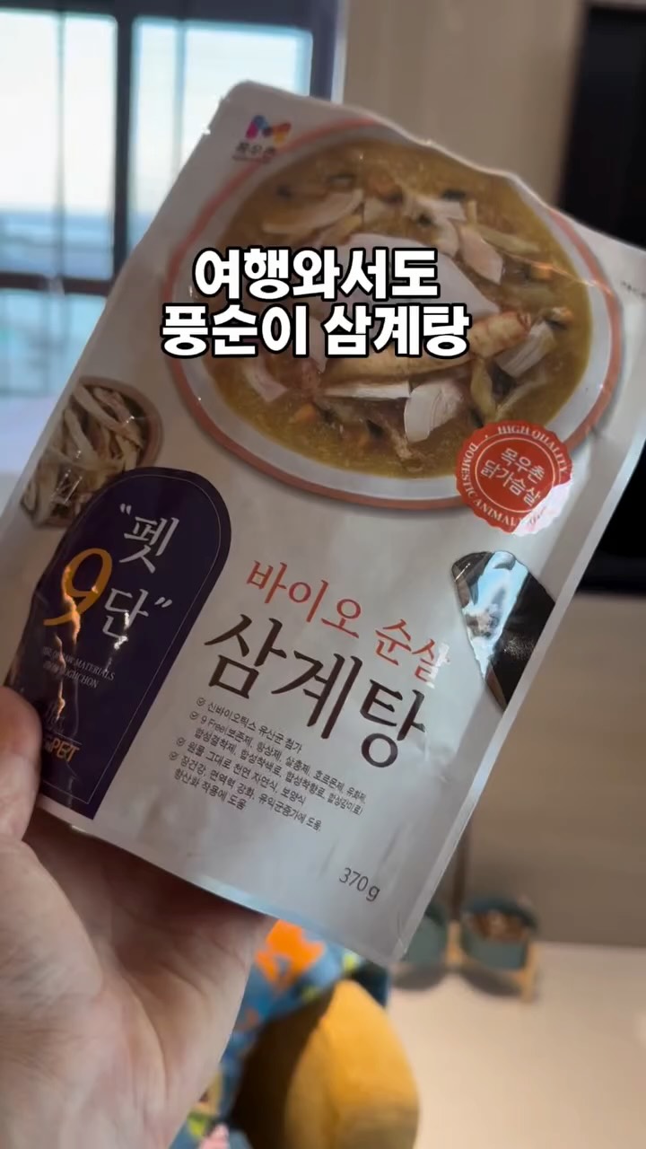 여름 아트
