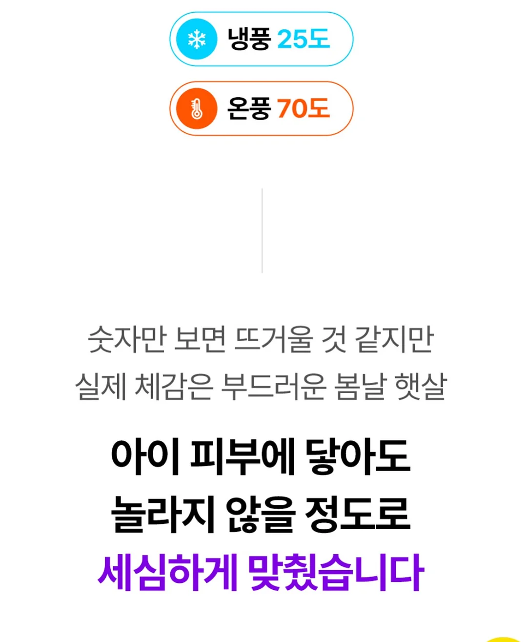 아르기닌 10