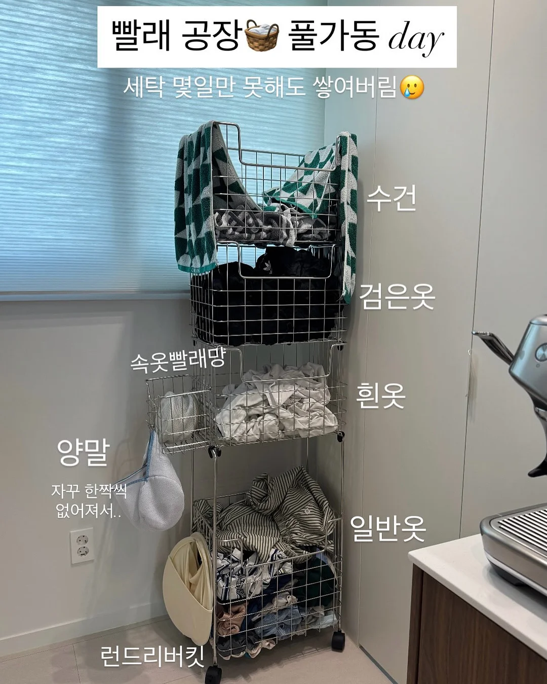 생망고케이크 1