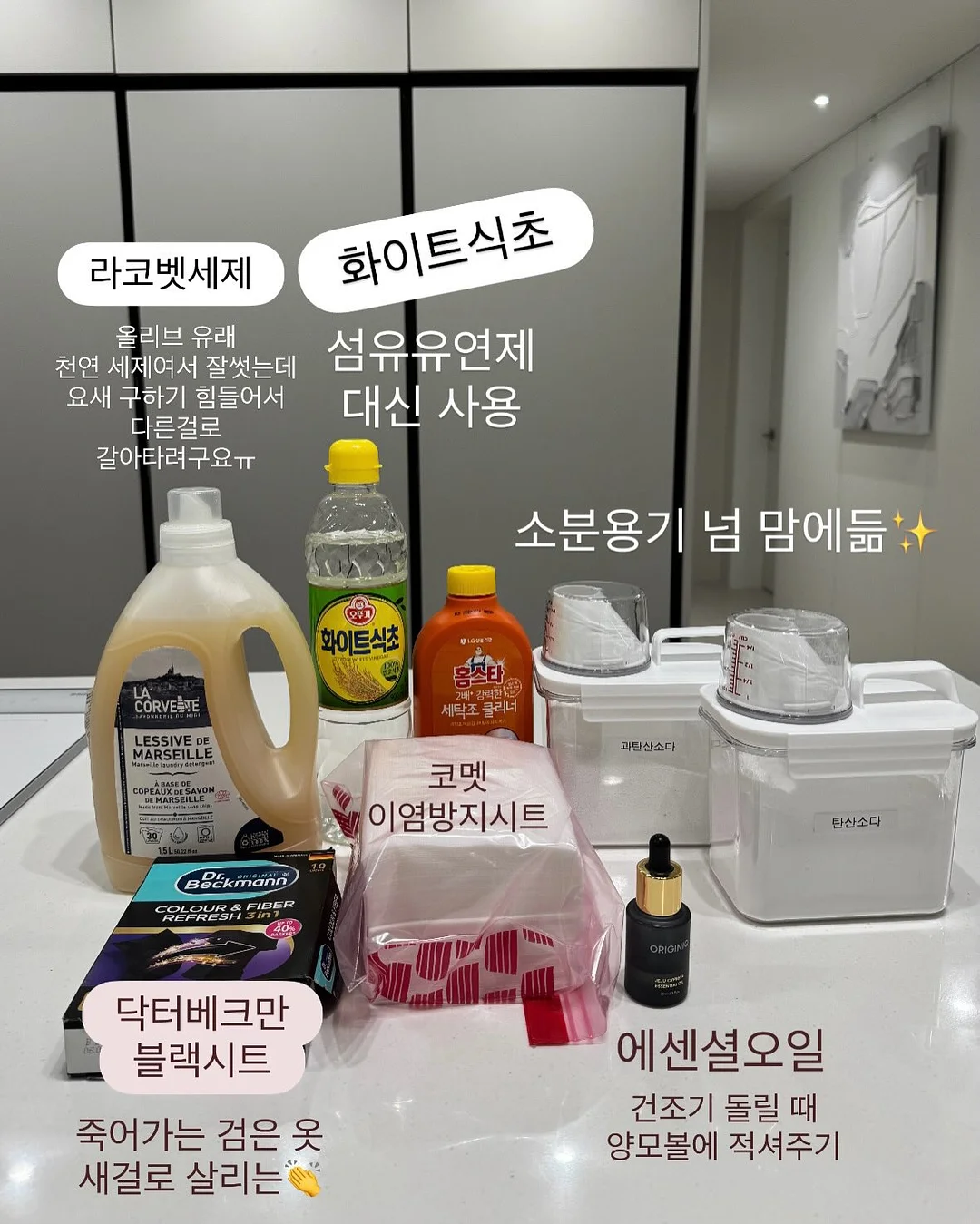 생망고케이크 4