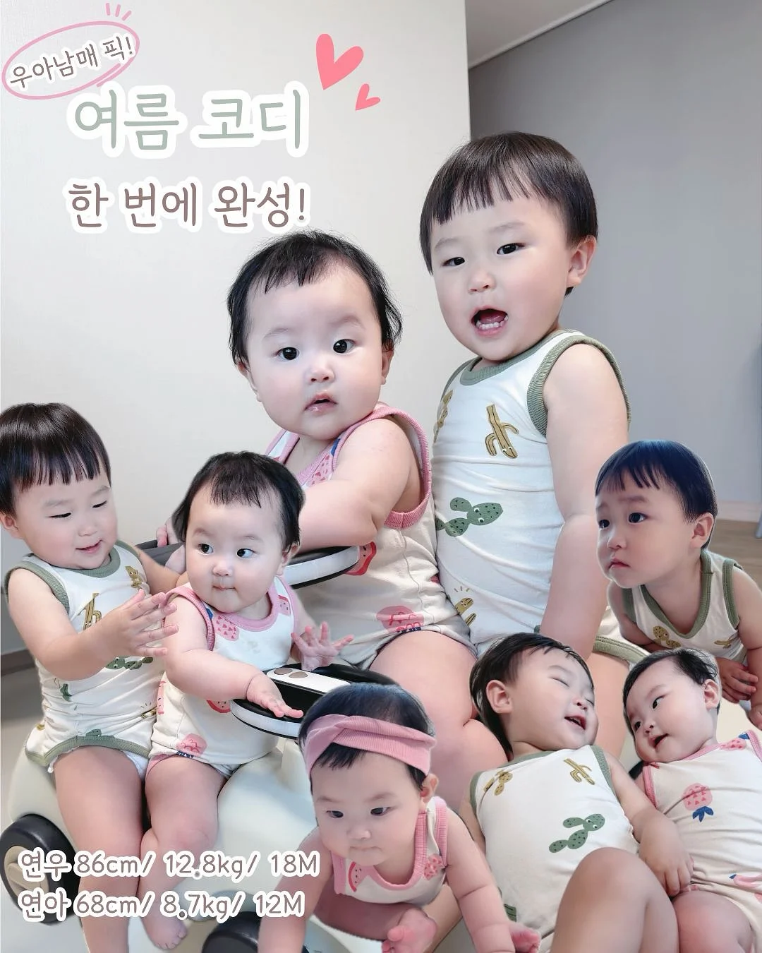 딸기 모종 7