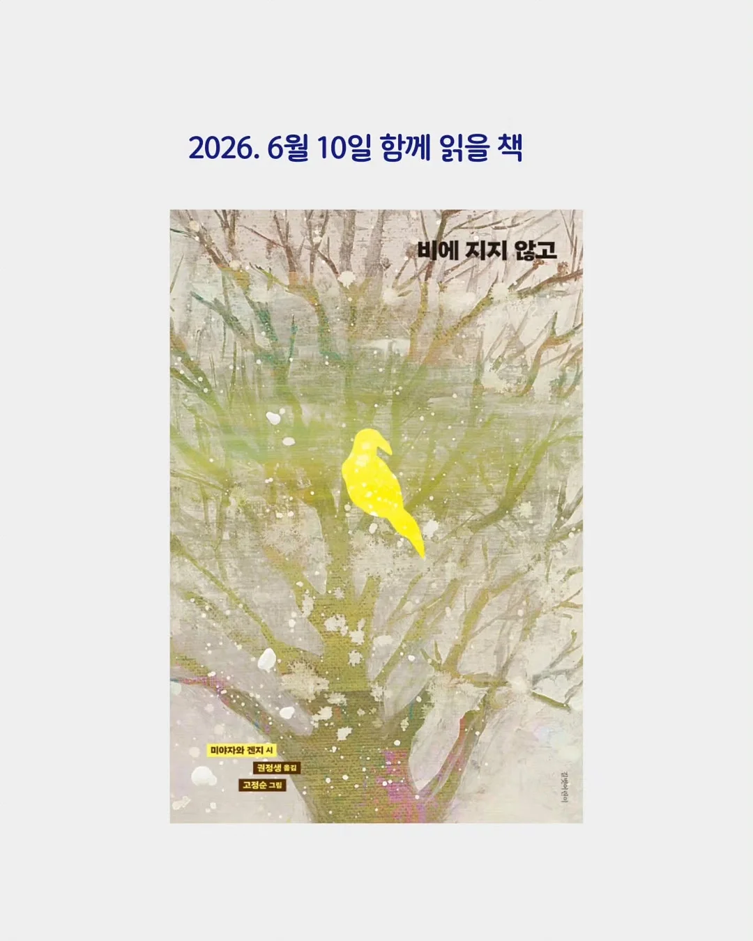 베이프 컬리지 사루 프린팅 반팔 티셔츠 4