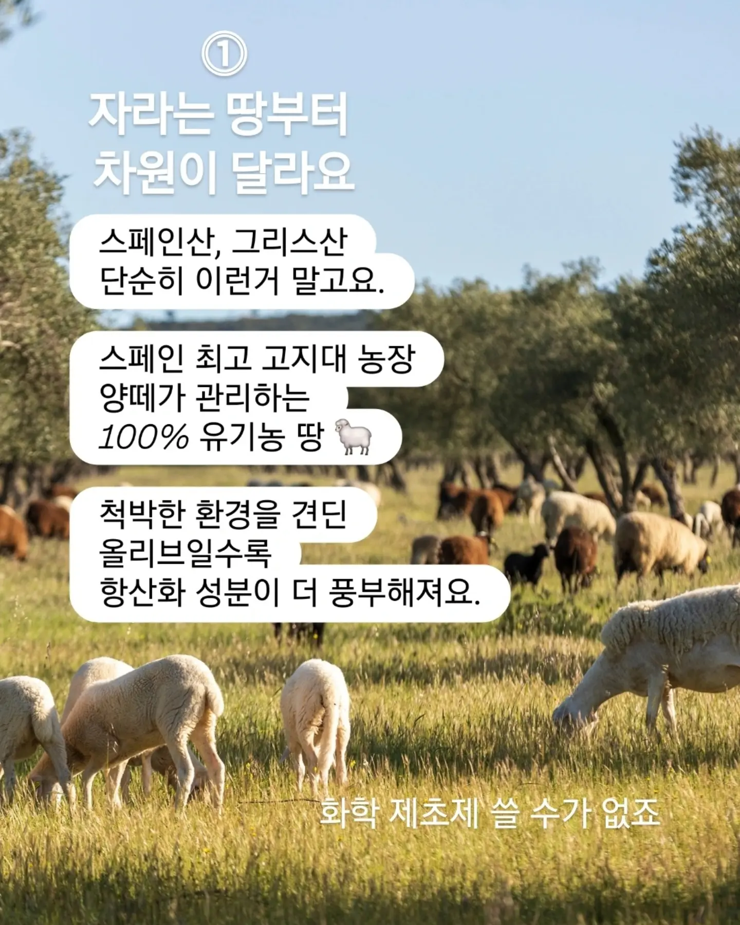 전동 계단 이동 카트 4