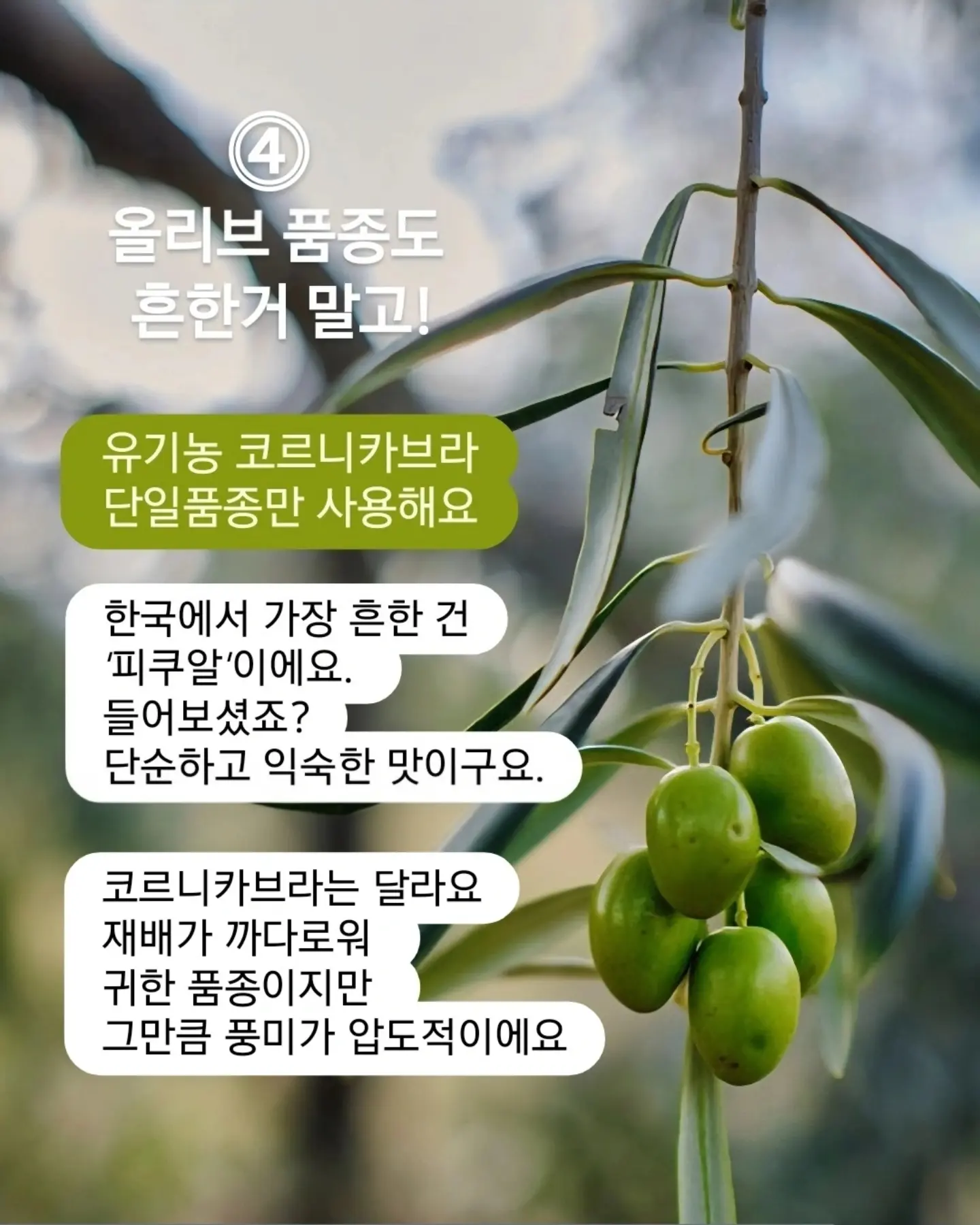 전동 계단 이동 카트 7