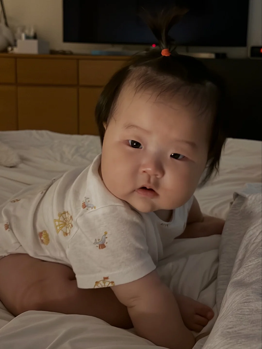 비쉴드 방수 거치대 8