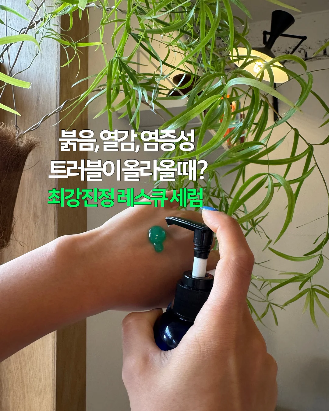 전상품 1