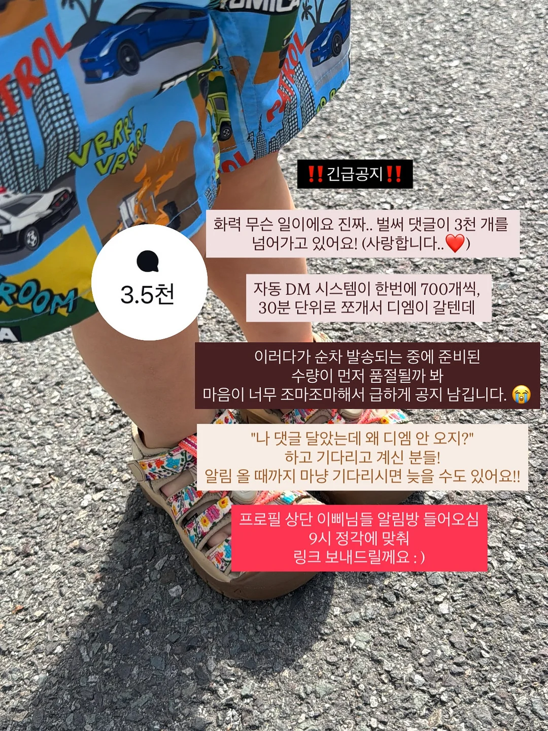 디웨더 썬코타 필터라이저