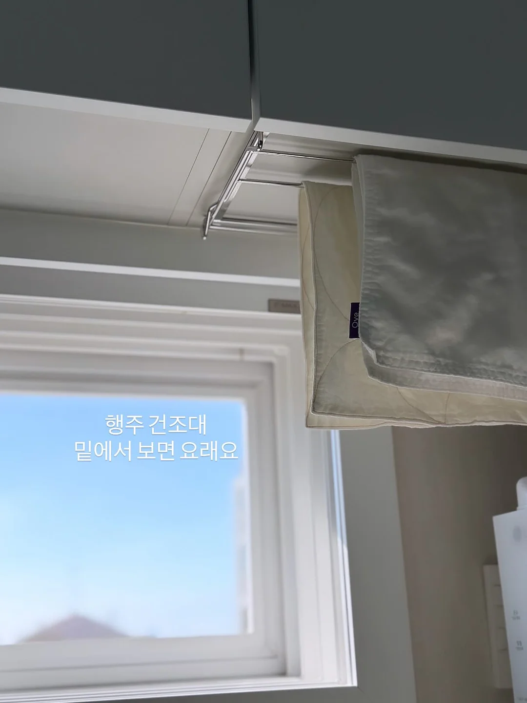 모내기 체험 6
