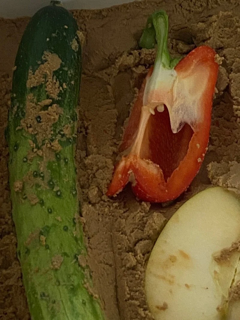 어린이집 유치원 썬캡 3