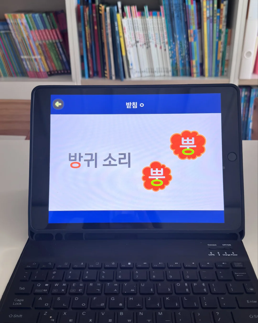 호빵맨 화과자 16