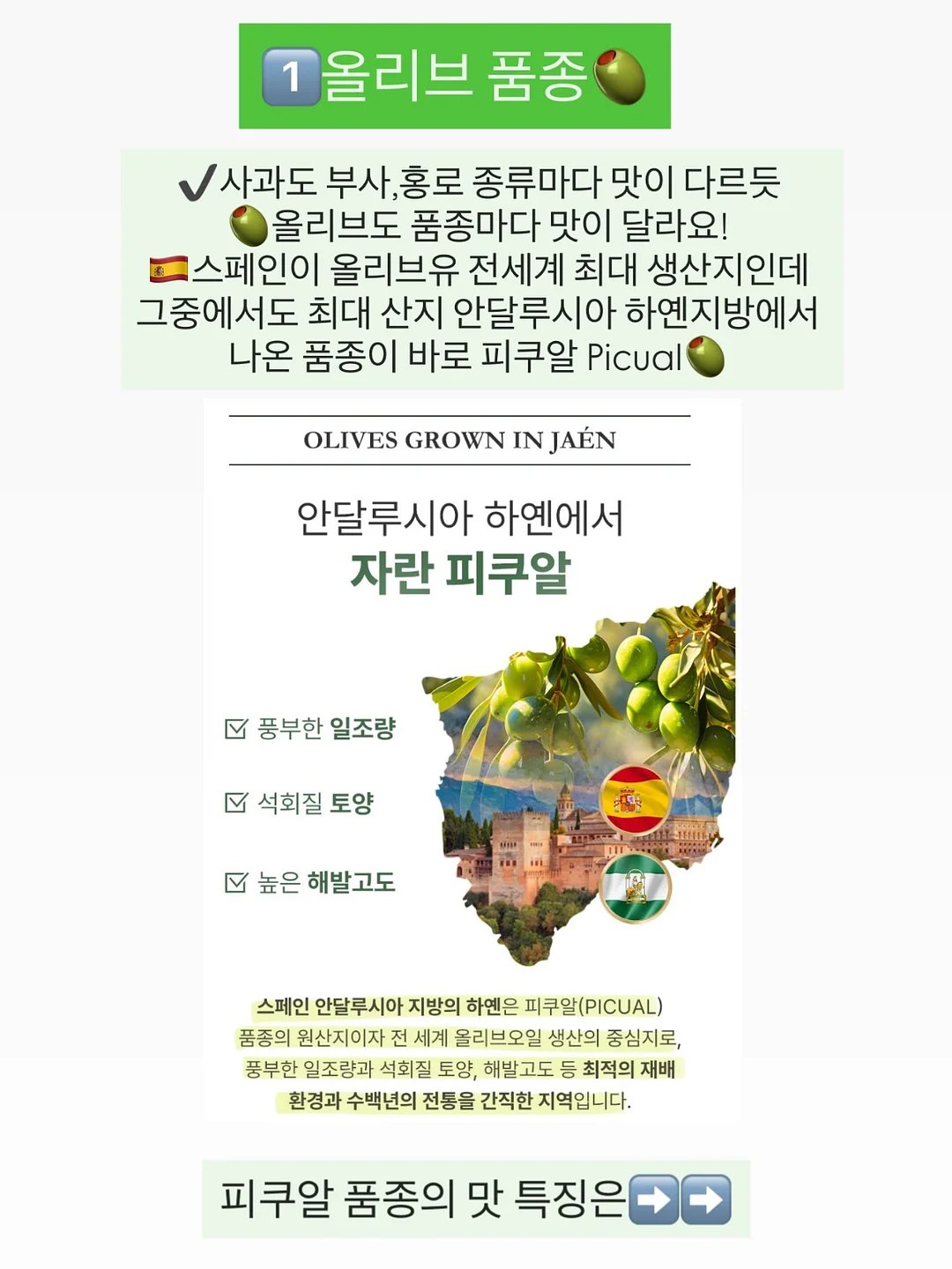 갈바닉 홈케어 2