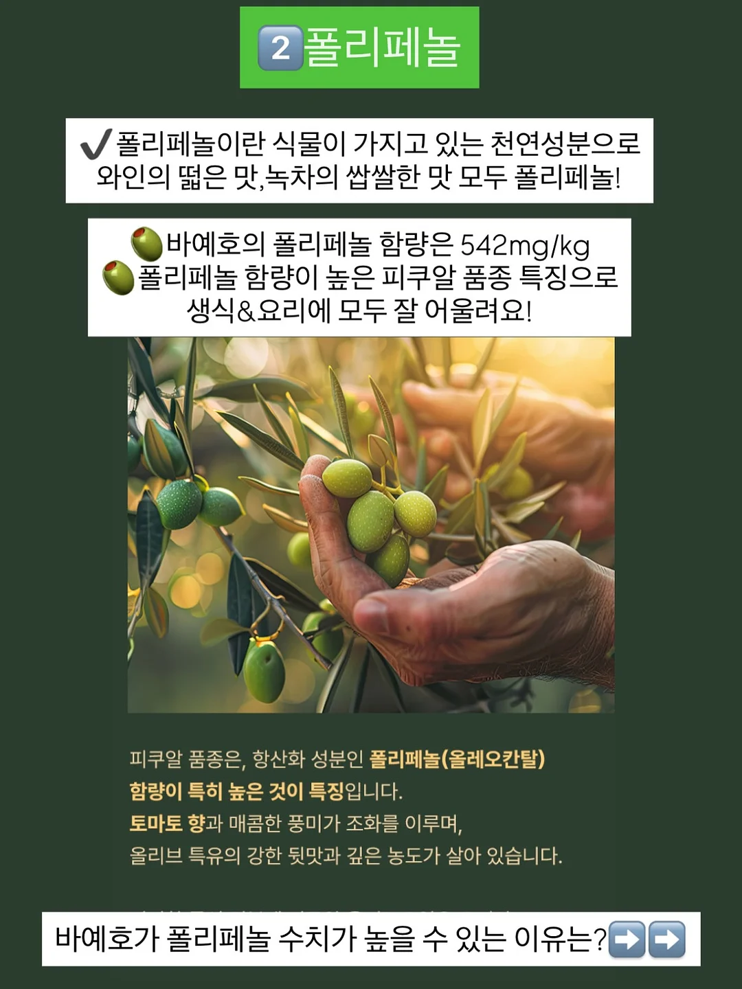 갈바닉 홈케어 4