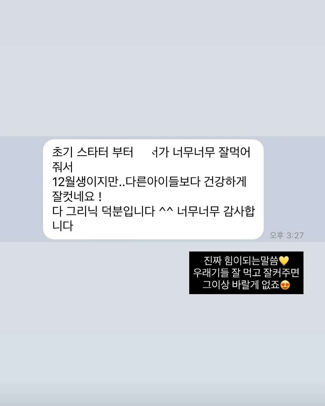 장미 미니 돔 1호 8