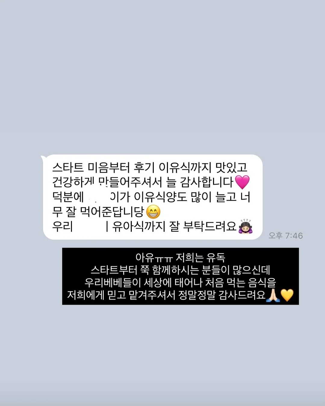 장미 미니 돔 1호 9