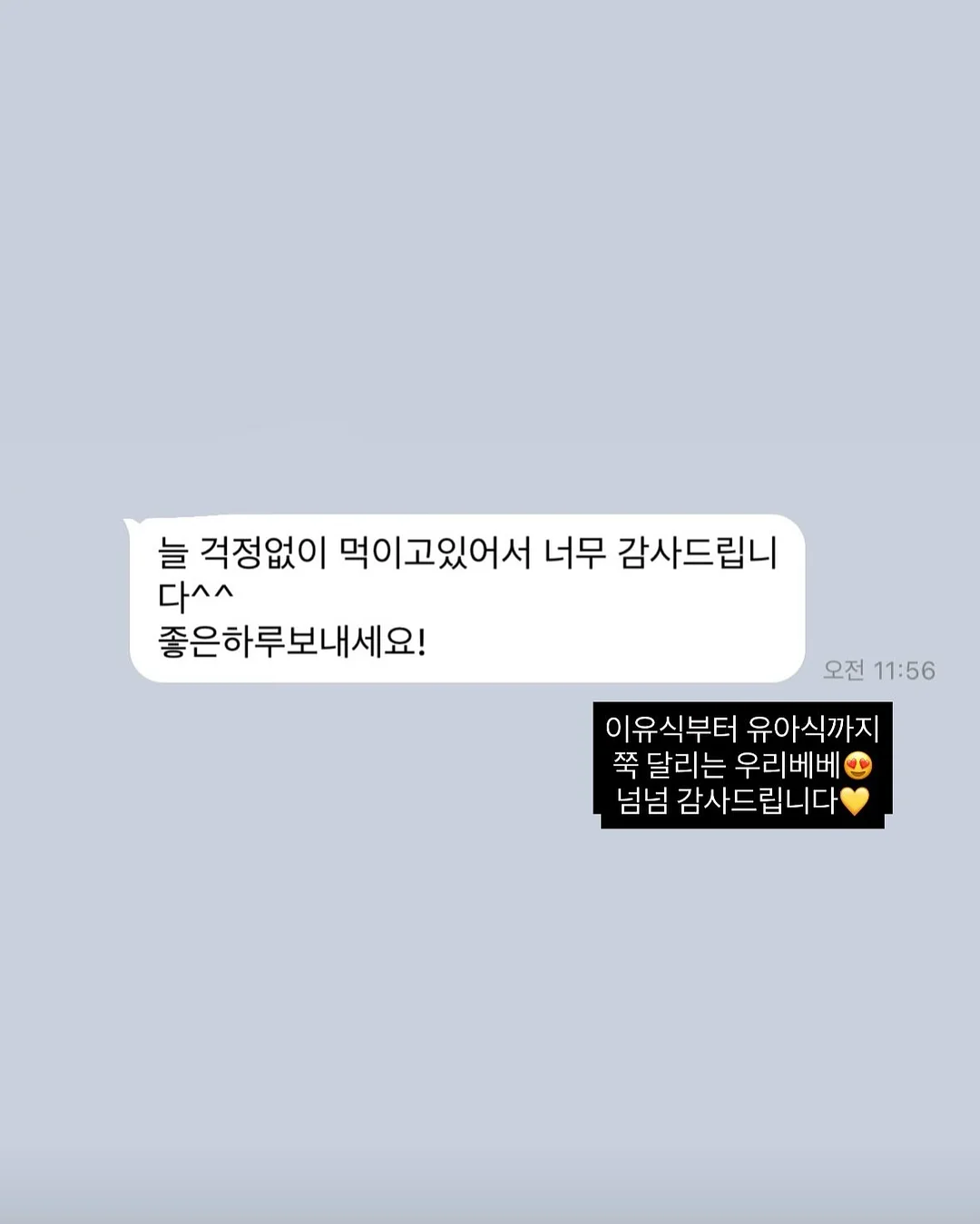 장미 미니 돔 1호 10