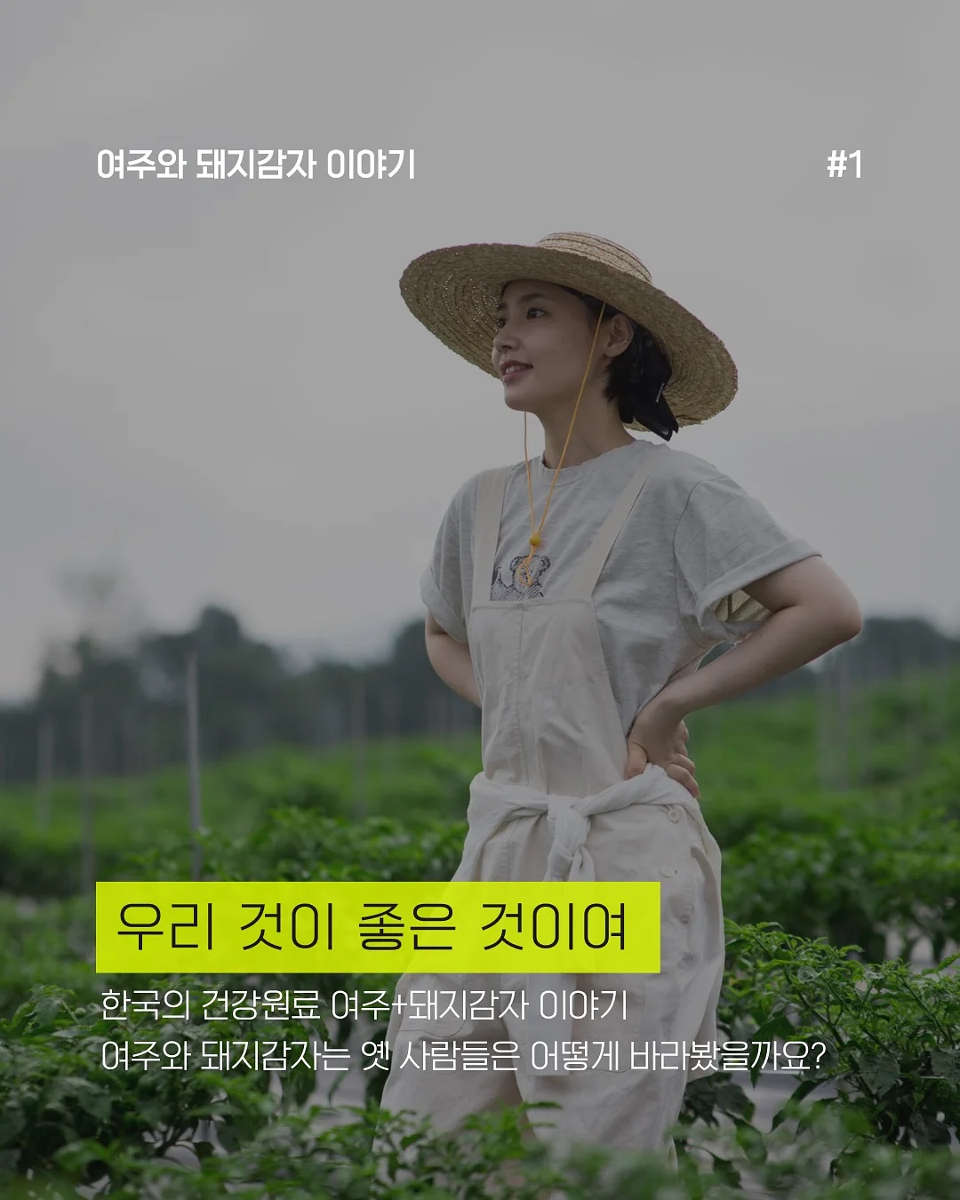 벽돌 치즈 1