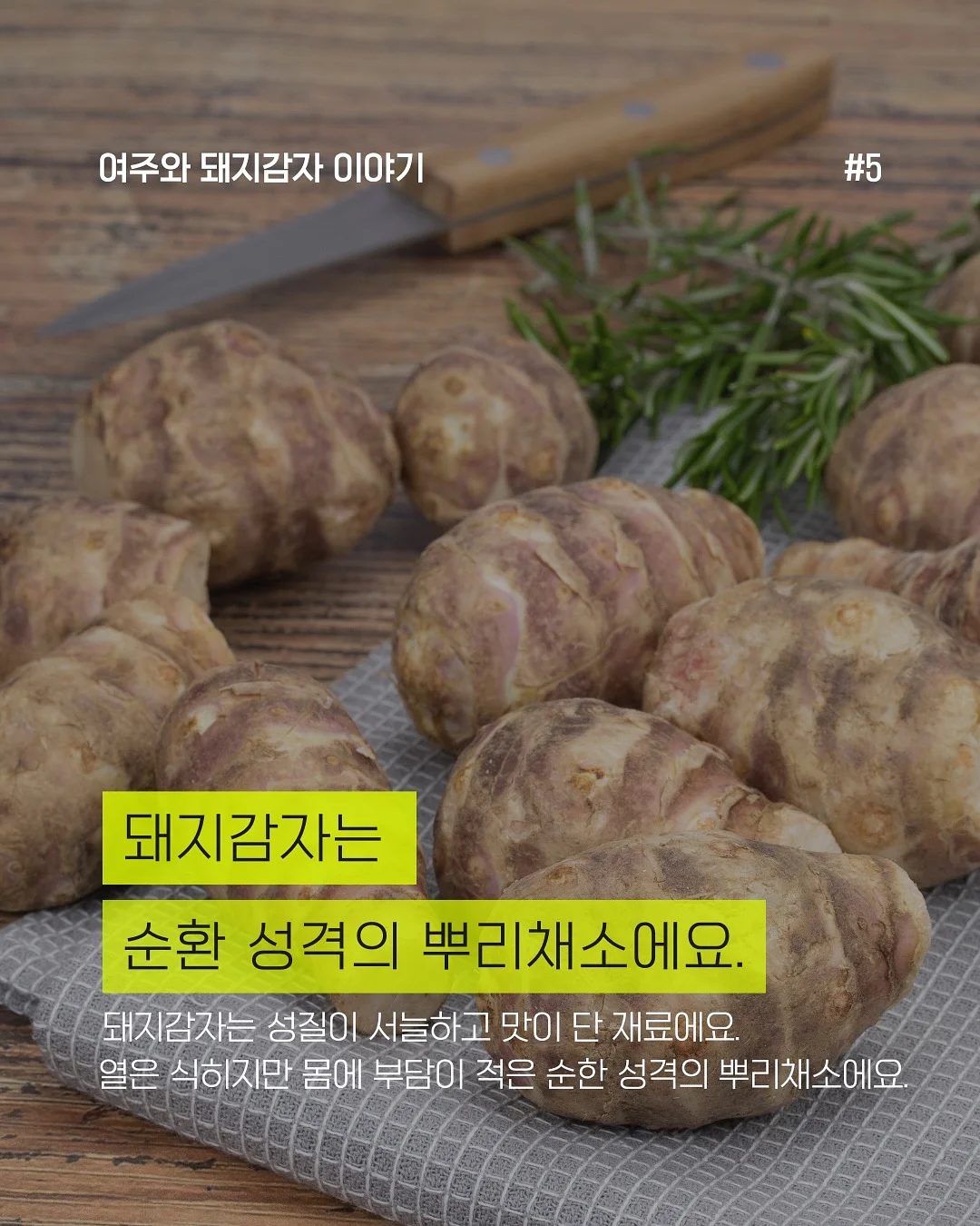 벽돌 치즈 3