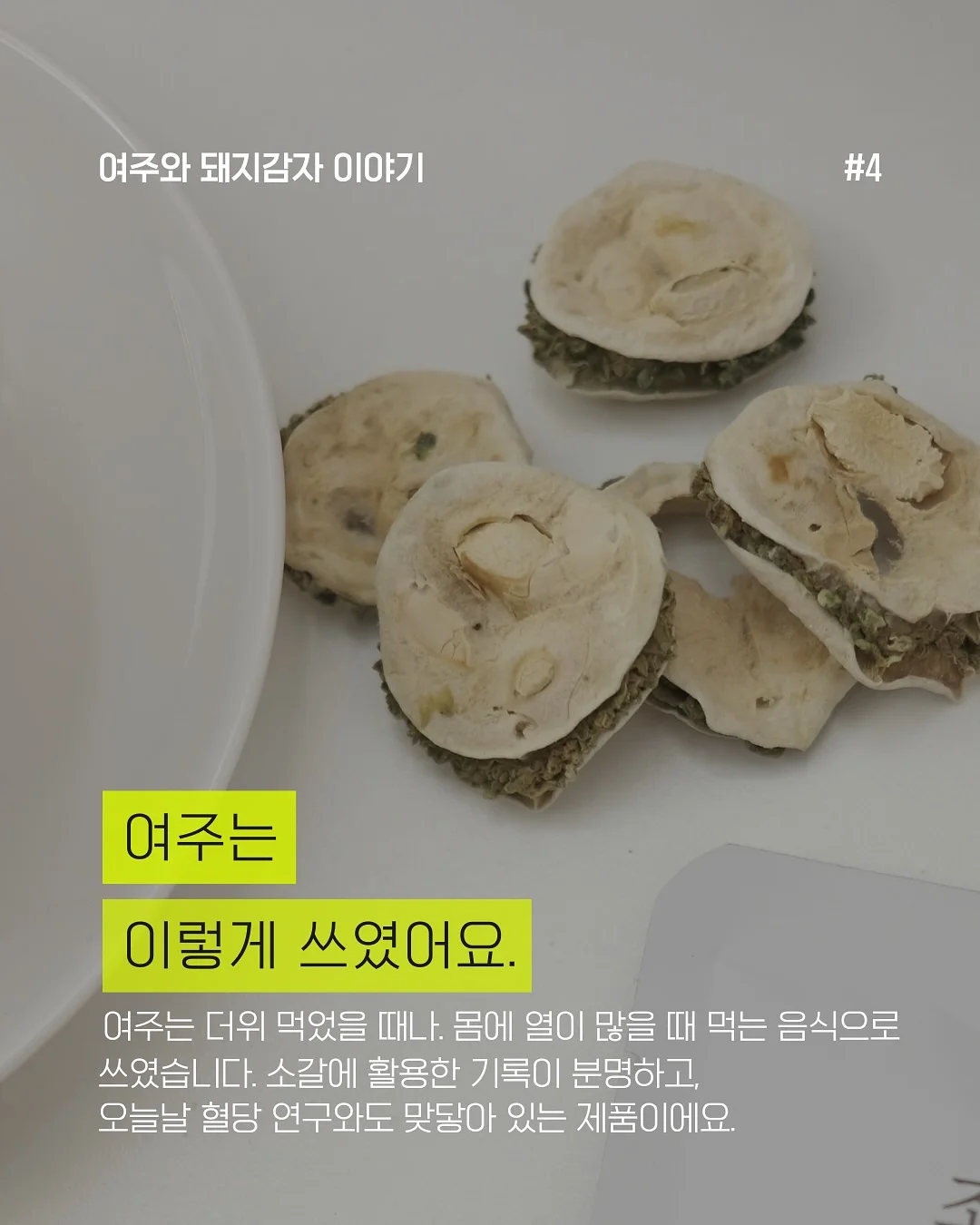 벽돌 치즈 4
