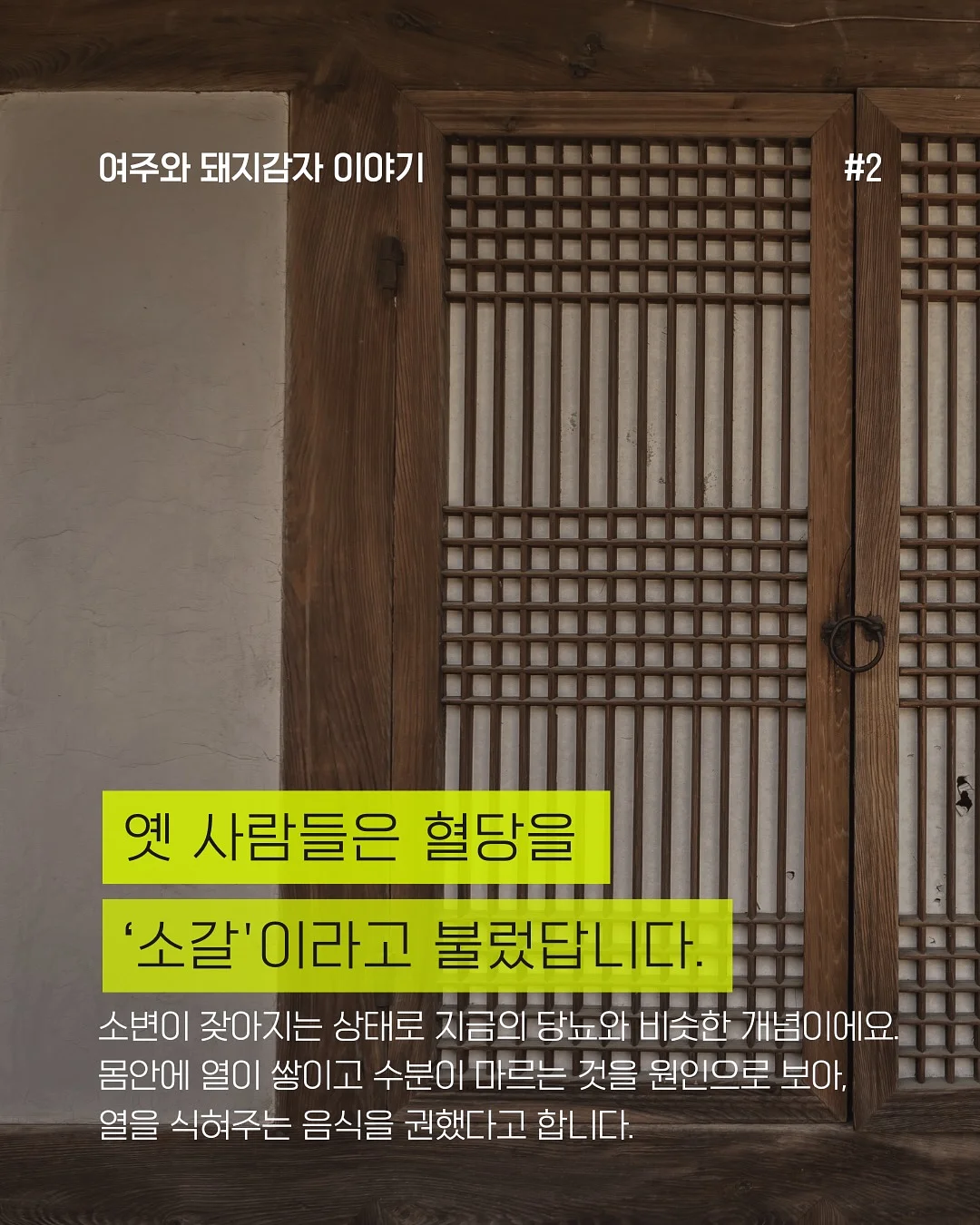 벽돌 치즈 5