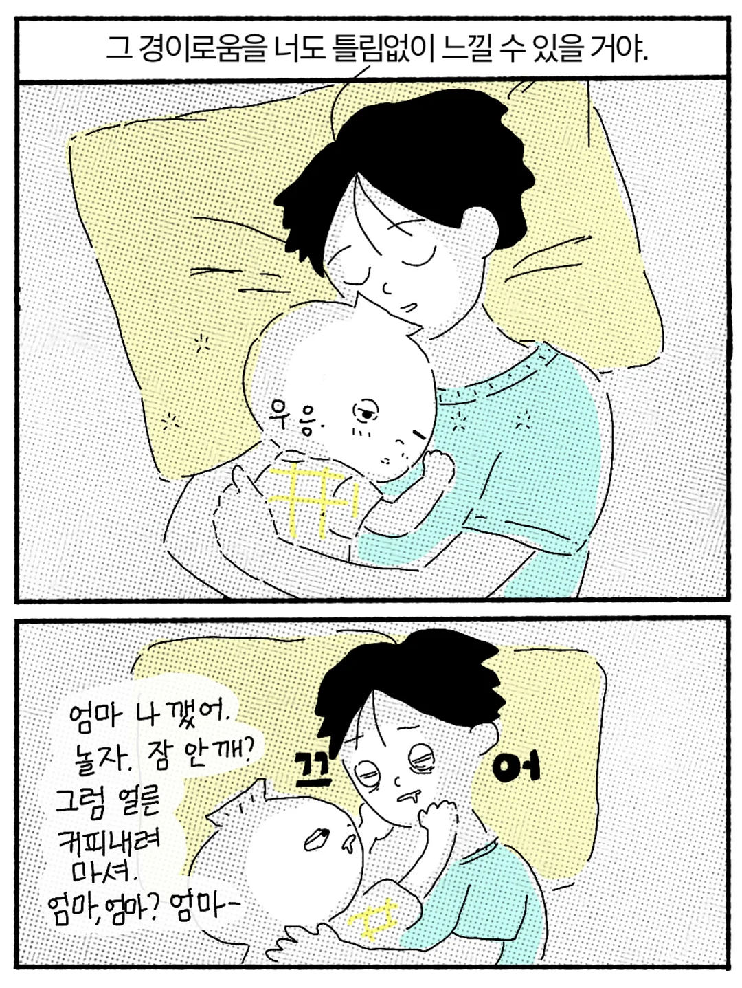 팍스트라 캐리어 11