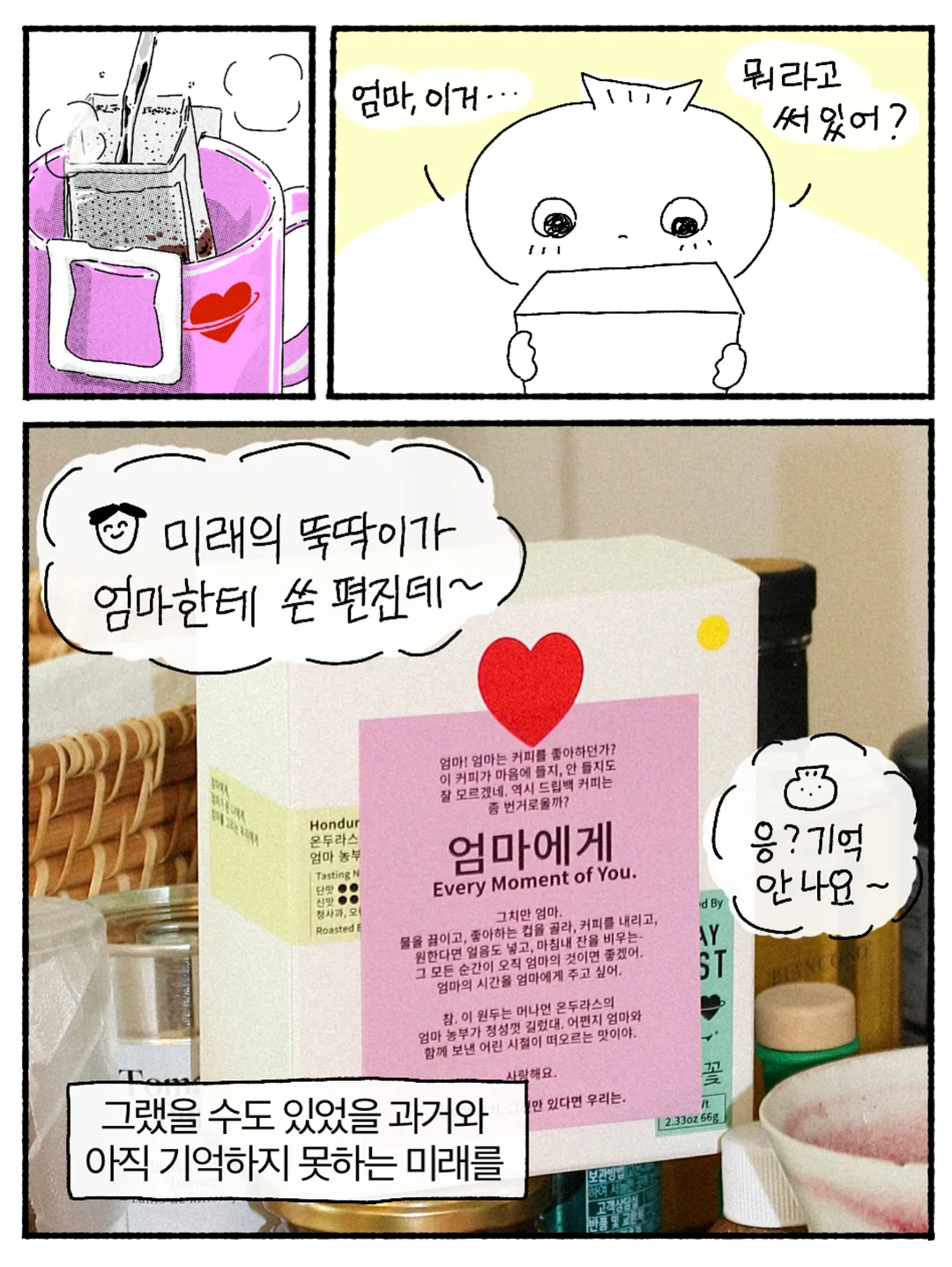 팍스트라 캐리어 12