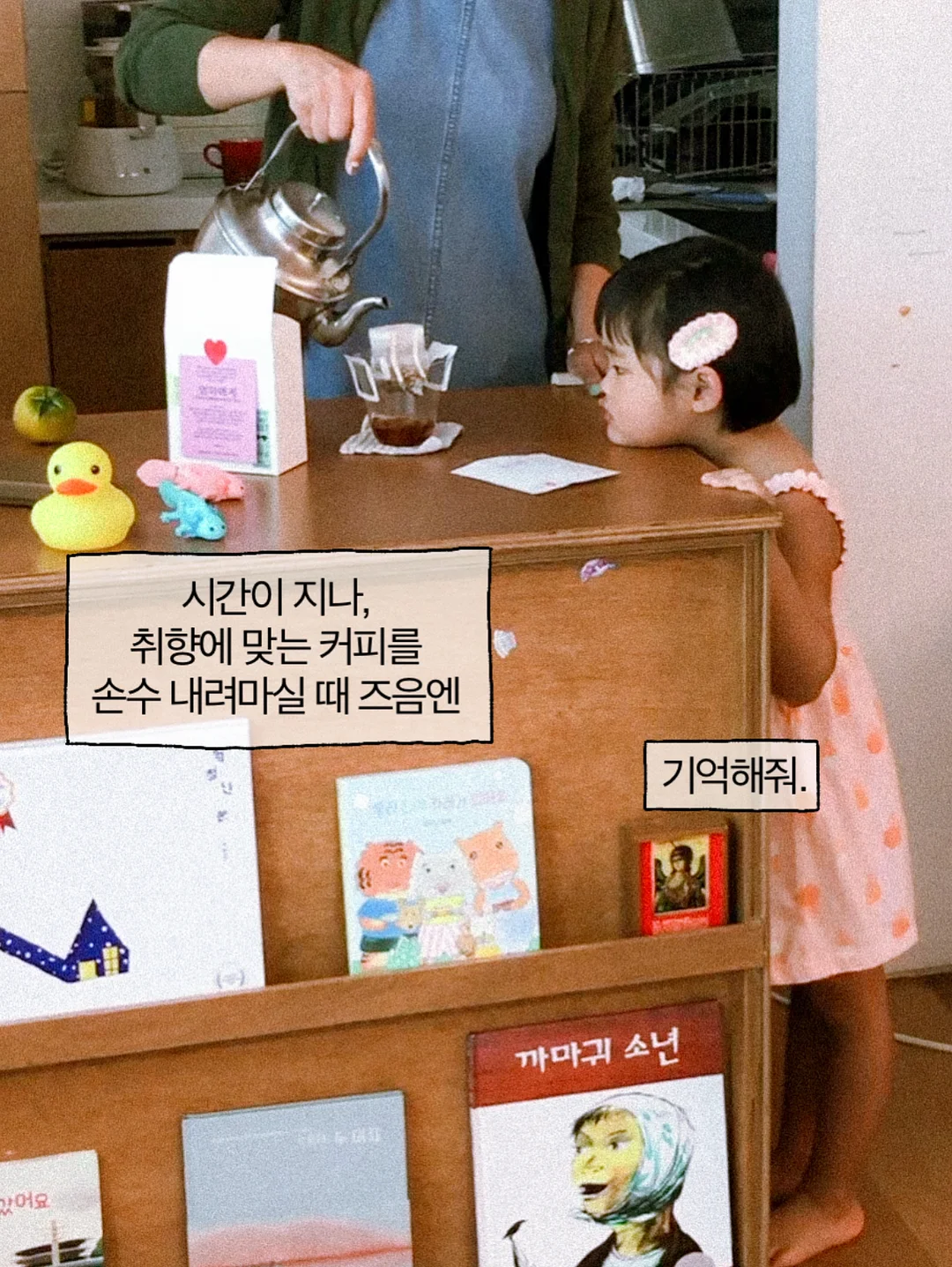 팍스트라 캐리어 13