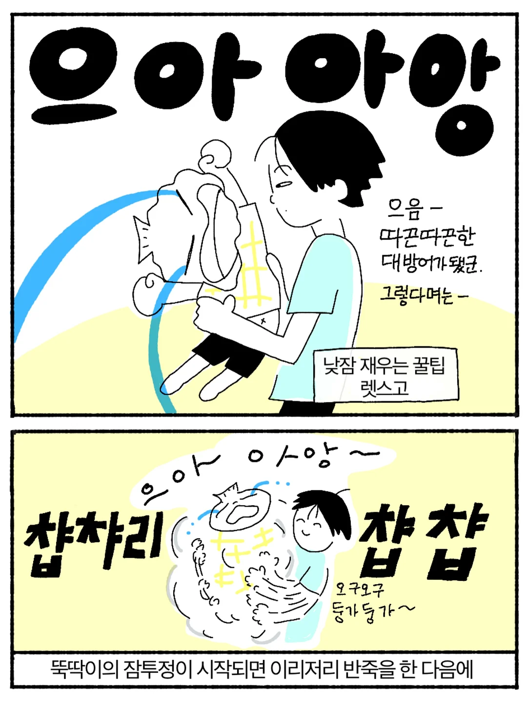 팍스트라 캐리어 2