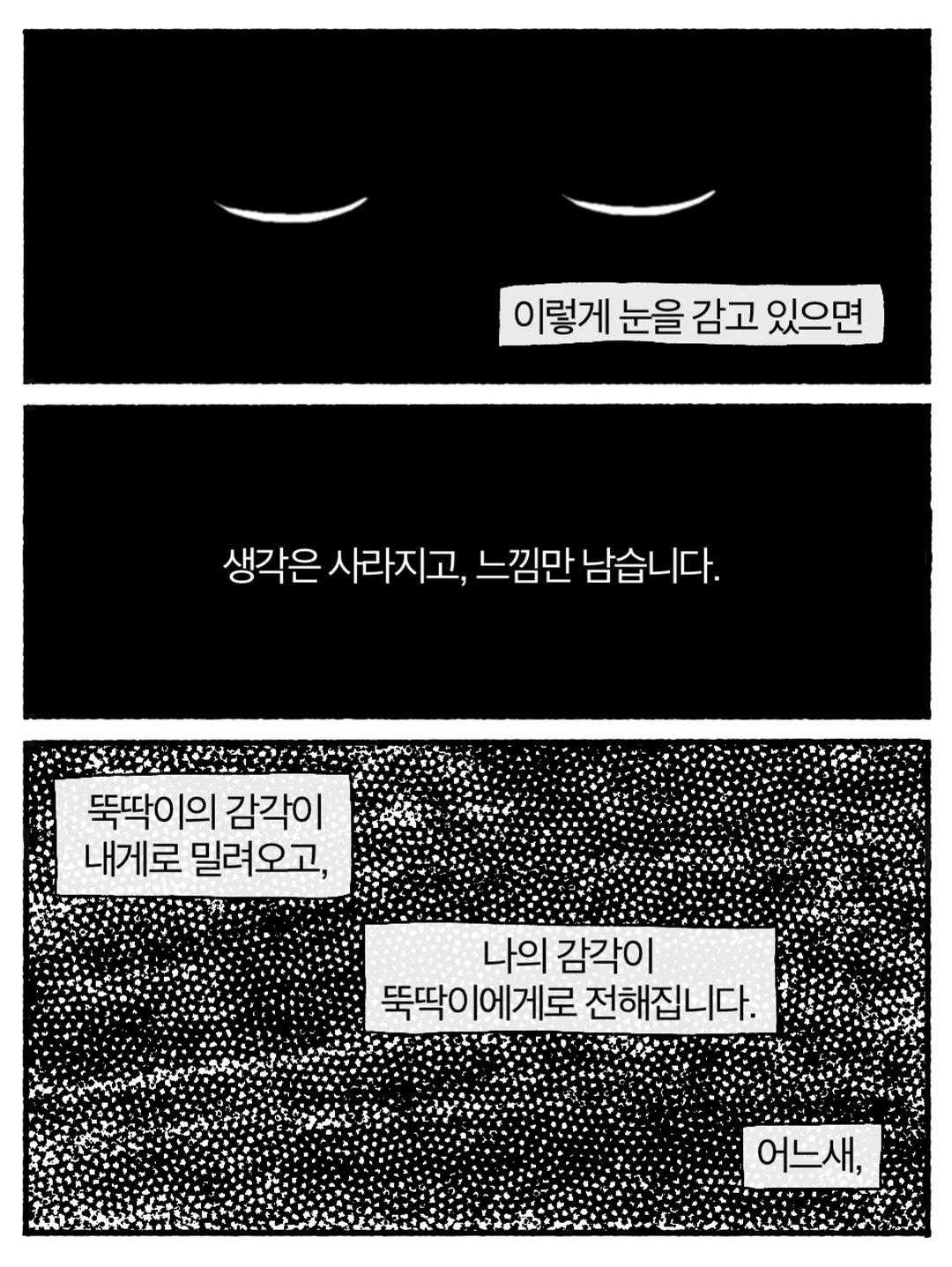 팍스트라 캐리어 5