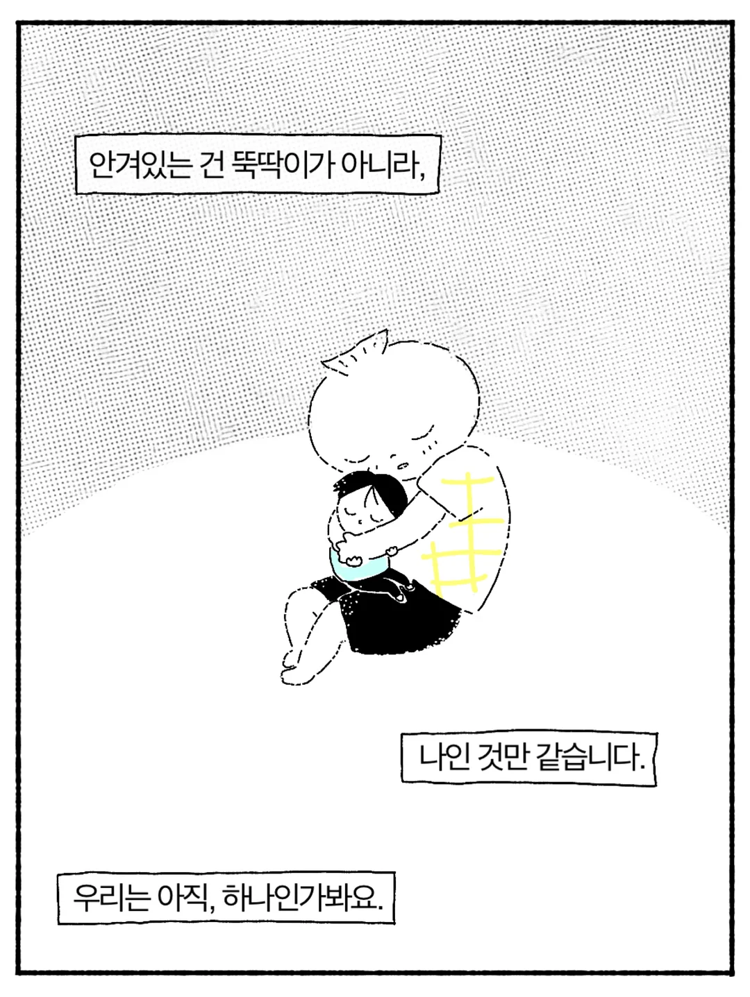 팍스트라 캐리어 6