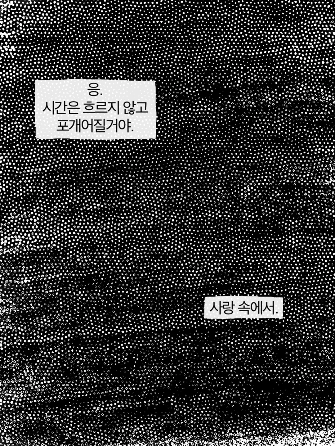 팍스트라 캐리어 10