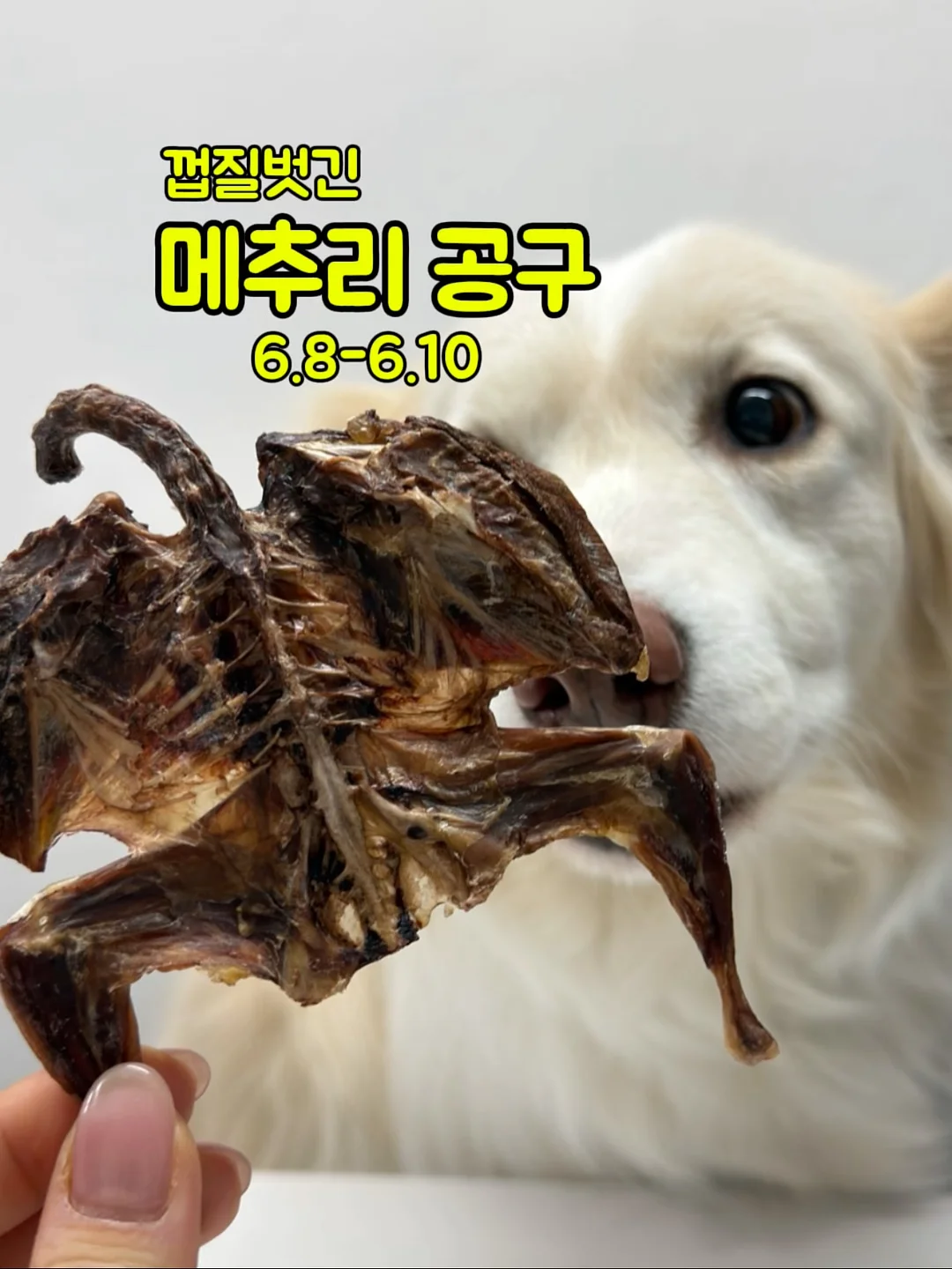 손 모양 마사지기 1