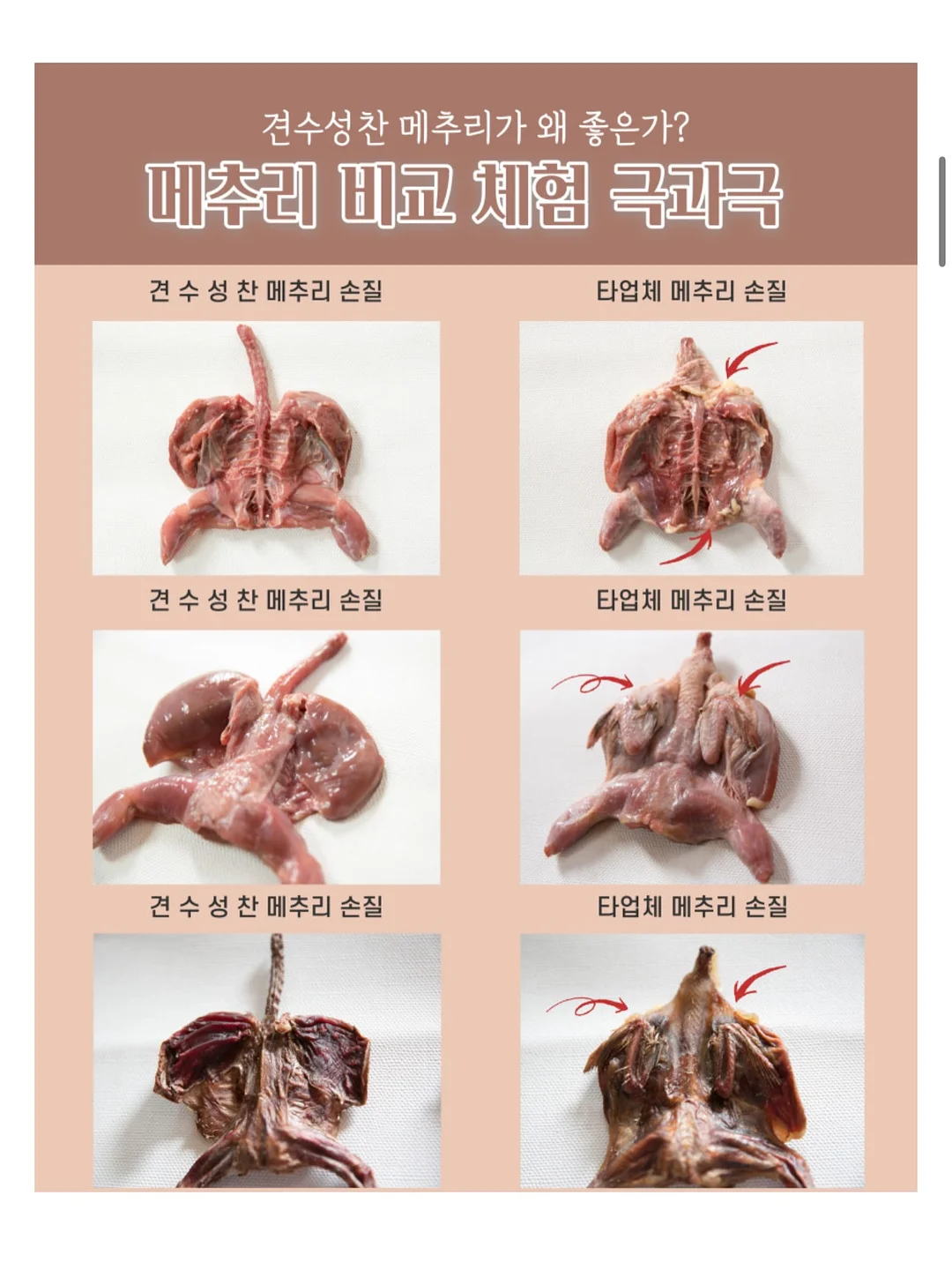 손 모양 마사지기 8