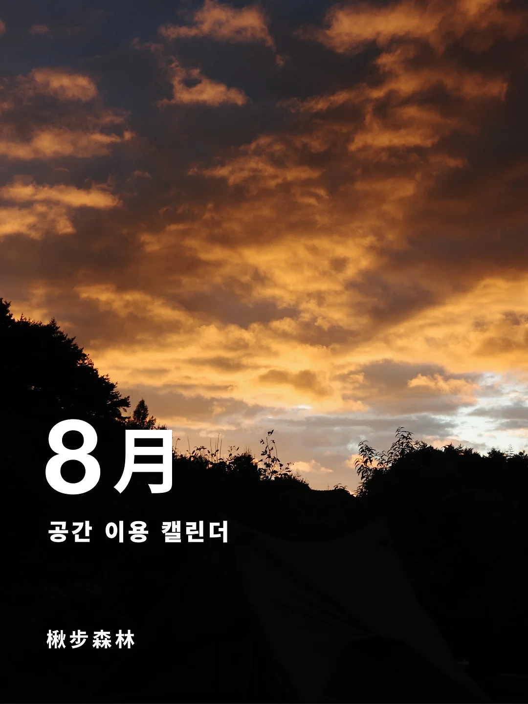 라미네이트 1