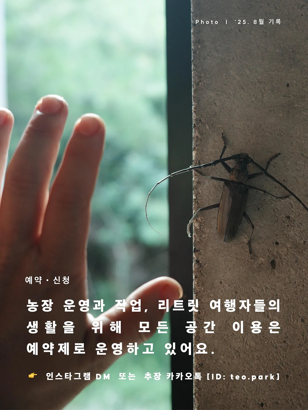 라미네이트 11