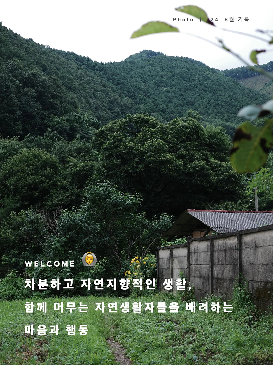 라미네이트 12