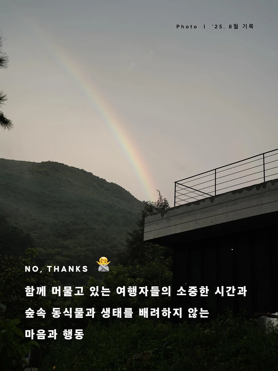 라미네이트 13